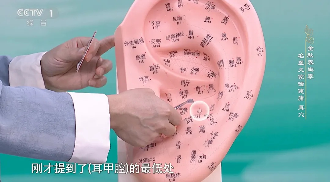 原来耳朵自带“健康开关”！每天按一按，让你睡得香、血压稳