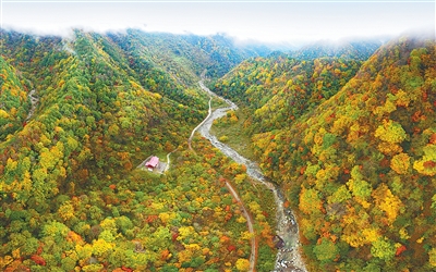 被誉为“天然基因库”,为何“这里还是世界本来的样子” 被誉为“天然基因库”,为何“这里还是世界本来的样子”