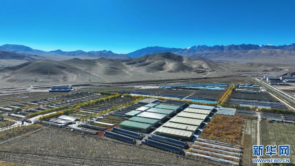 石榴花开 籽籽同心｜云端的菜篮 百姓的幸福