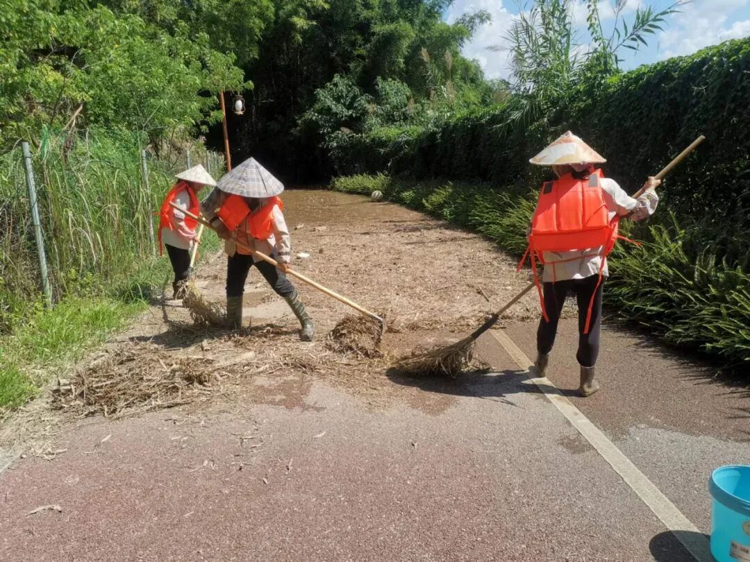 洪水回落，全力清淤！