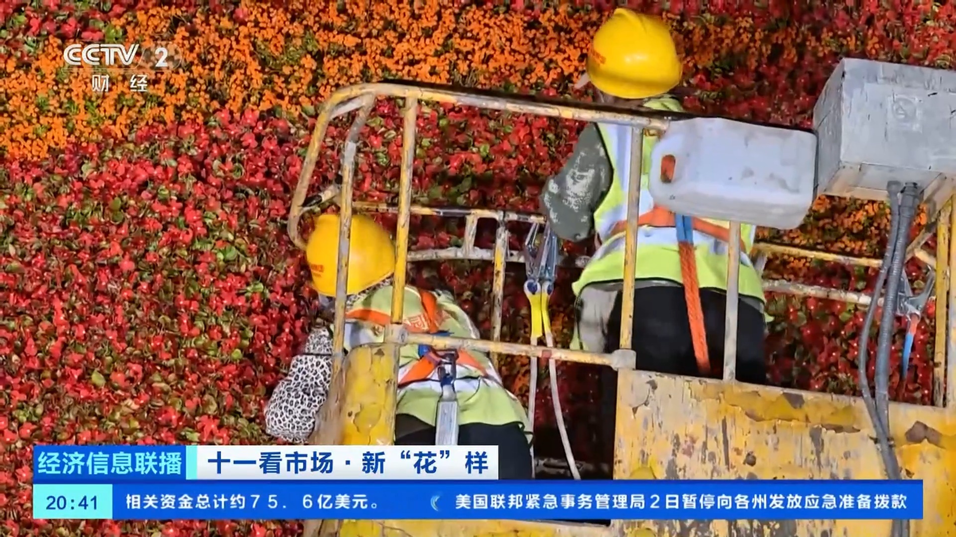 必打卡景点！今年天安门广场巨型花篮有什么新“花样”？