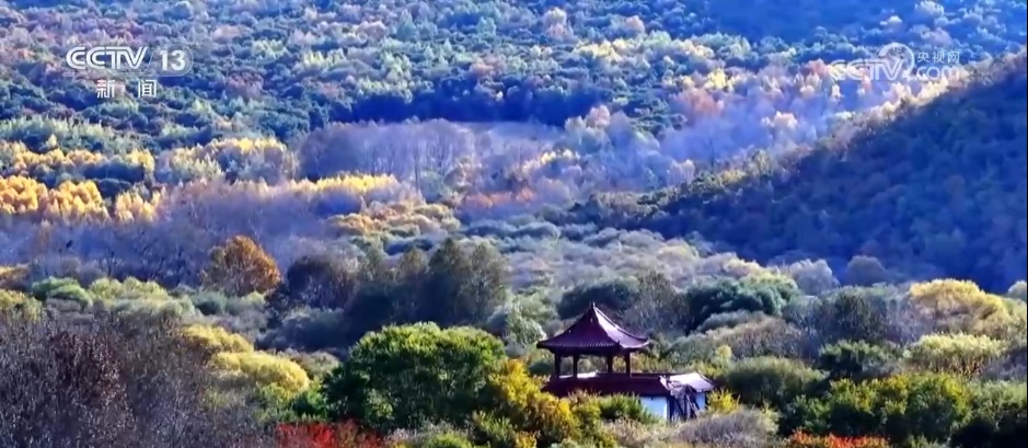 邂逅秋日限定浪漫 祖国河山处处皆画卷