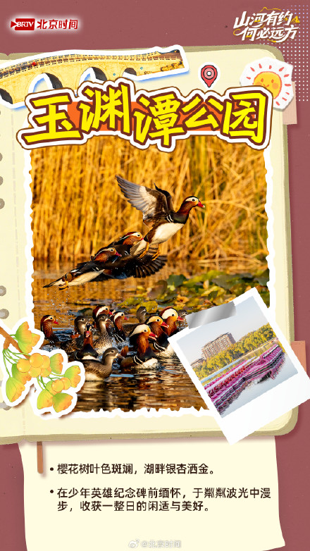 国庆解锁京城公园里的N种诗意 国庆解锁京城公园里的N种诗意