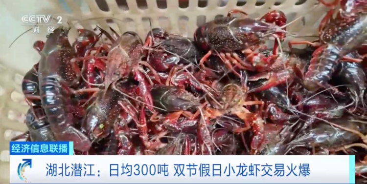 太火爆！日均交易近300吨！你也爱吃