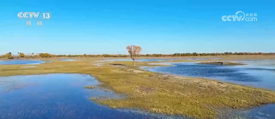 邂逅秋日限定浪漫 祖国河山处处皆画卷