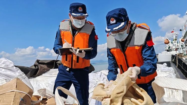 案值超300万元!福建海警查获走私冻品50余吨 案值超300万元!福建海警查获走私冻品50余吨