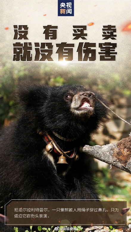 转发呼吁，拒绝动物表演！别把快乐建立在动物的痛苦上