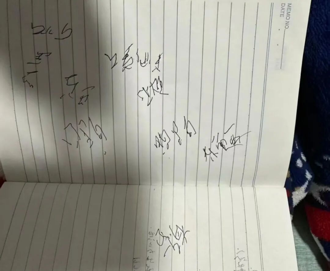 "这是奶奶去世前写的字，想请朋友们帮忙辨认一下…"
