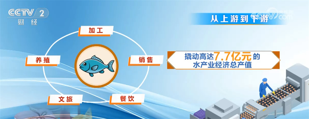 “舌尖”美味助力文旅消费 “小”鱼鲜串起数亿元“大”产业链