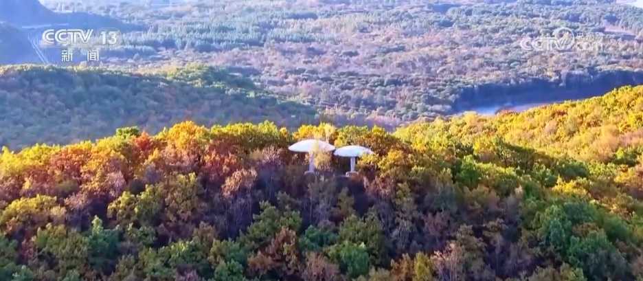 邂逅秋日限定浪漫 祖国河山处处皆画卷
