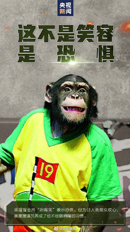 转发呼吁，拒绝动物表演！别把快乐建立在动物的痛苦上