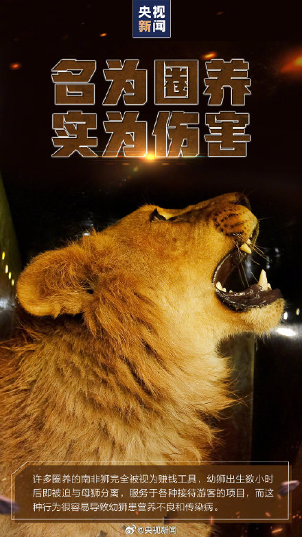 转发呼吁，拒绝动物表演！别把快乐建立在动物的痛苦上