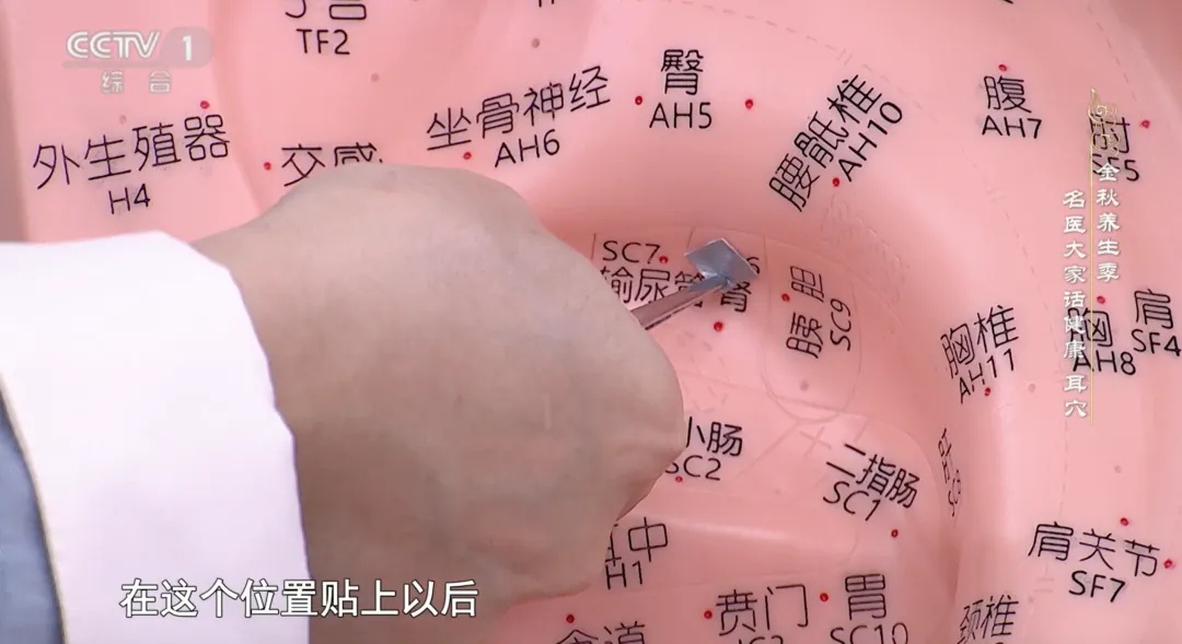 原来耳朵自带“健康开关”！每天按一按，让你睡得香、血压稳