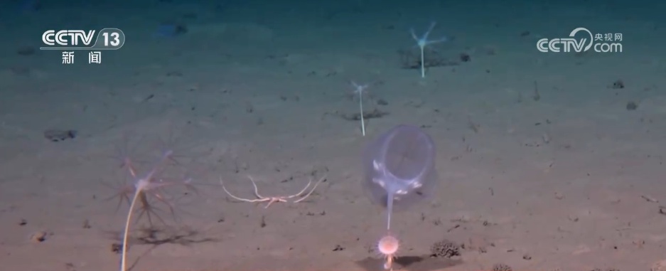 挺进万米深渊, 用“大国重器”解锁中国深度