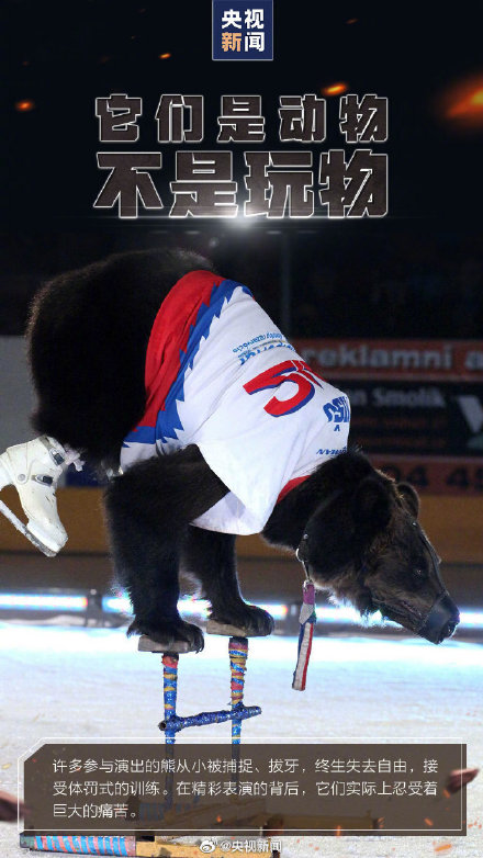 转发呼吁，拒绝动物表演！别把快乐建立在动物的痛苦上