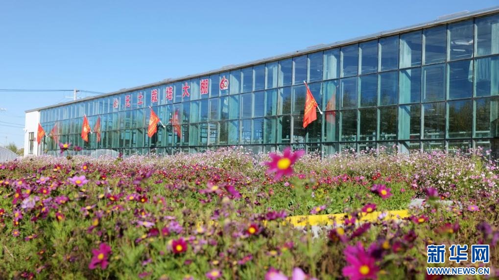 石榴花开 籽籽同心｜云端的菜篮 百姓的幸福