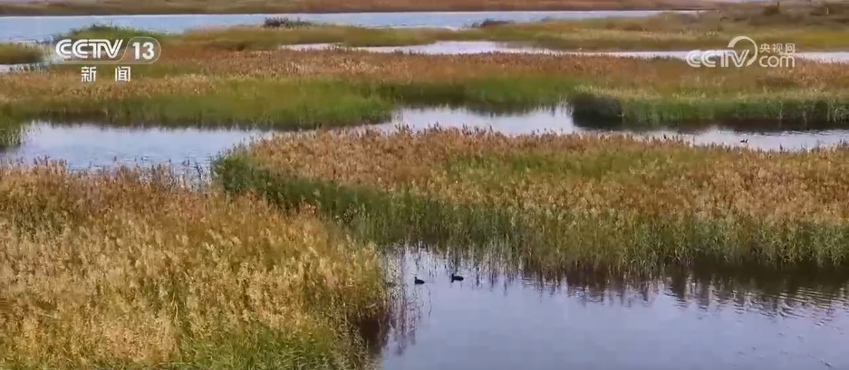 邂逅秋日限定浪漫 祖国河山处处皆画卷