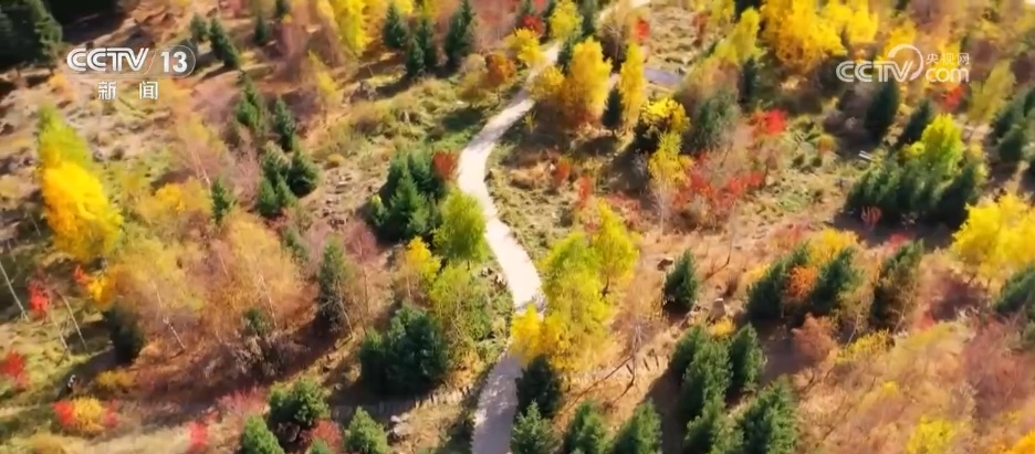 金秋十月山河锦绣 沉浸式感受神州大地“秋日限定”美景