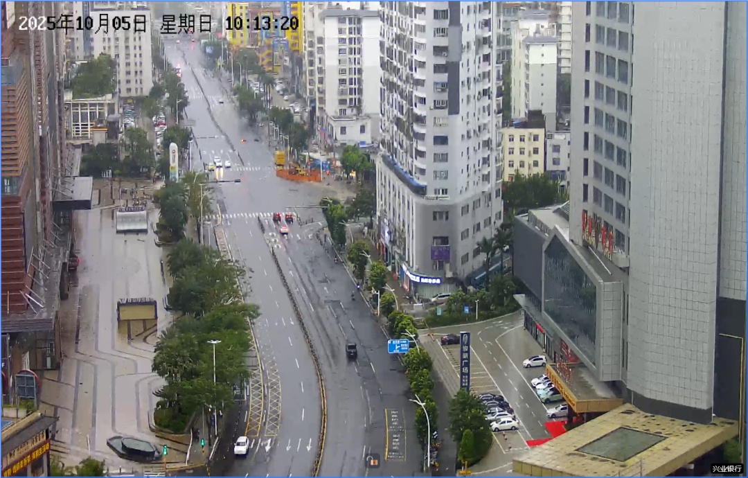 海口，“静”下来了