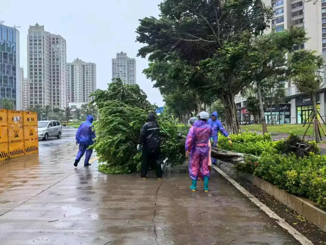 “六停”解除前，非必要不出门！