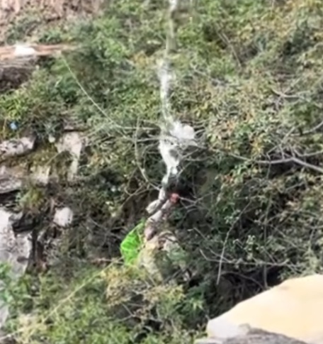 惊险！女子滑落悬崖死死抓住藤蔓，众人拧绳施救