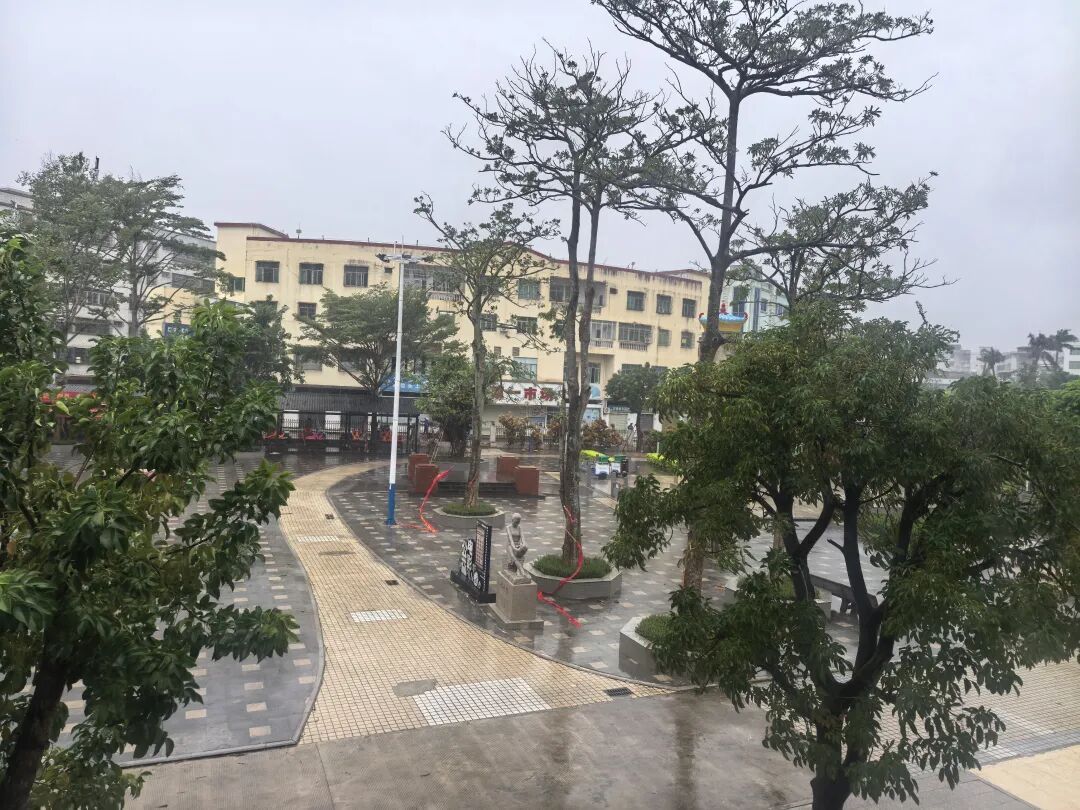 文昌，已“静”下来