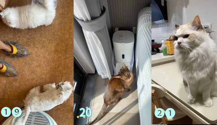 连接270单,单笔最高费用8100元,这项服务国庆假期爆火 连接270单,单笔最高费用8100元,这项服务国庆假期爆火