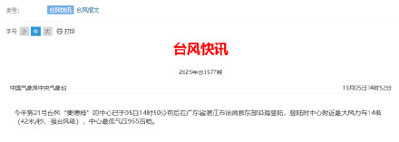 台风麦德姆登陆广东沿海