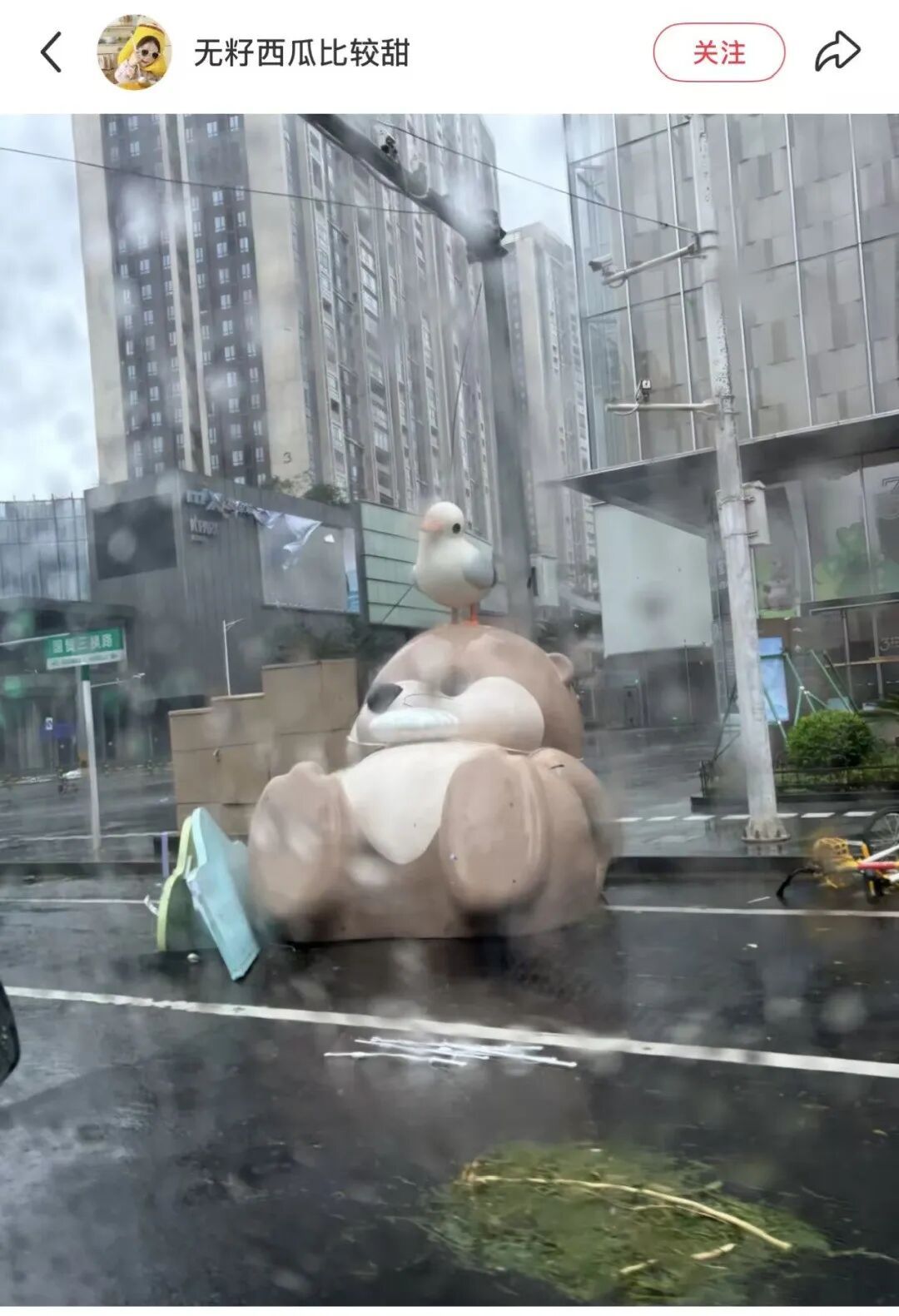 “六停”解除前，非必要不出门！