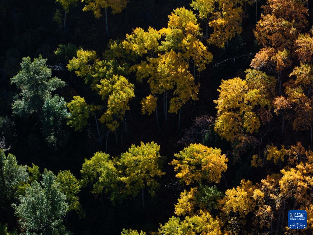 哈萨克斯坦：伊塞克峡谷和伊塞克湖的秋日画卷