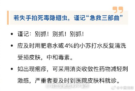 遇见隐翅虫请鼓起你的嘴