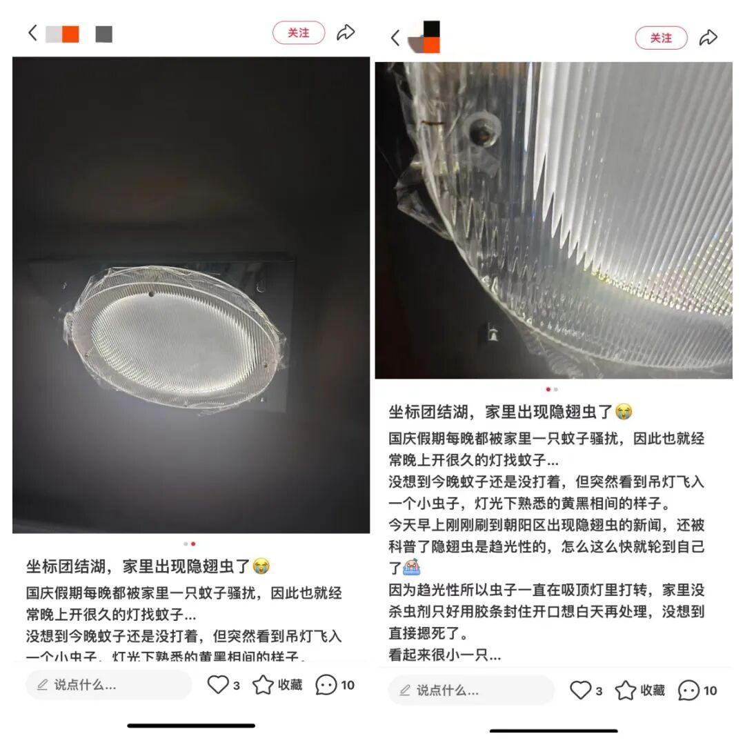 千万别拍！北京也出现了，有人差点因它“毁容”