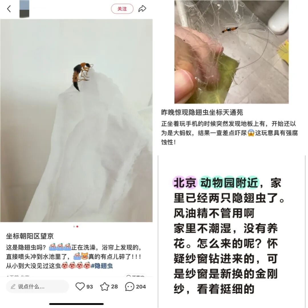 千万别拍！北京也出现了，有人差点因它“毁容”