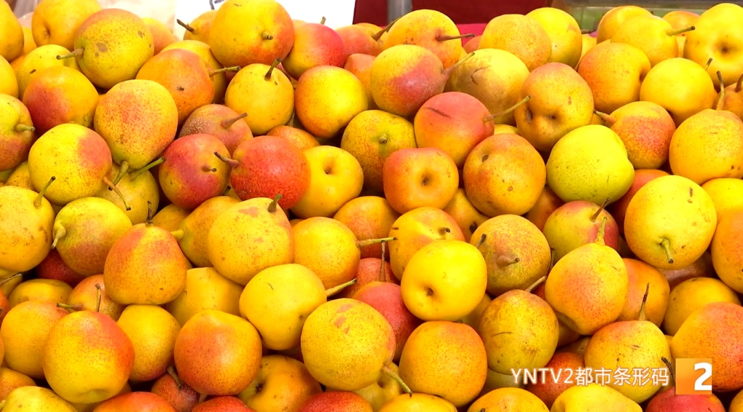别再问怎么实现“水果自由”了，来云南逛市场，闭眼买都不心疼！