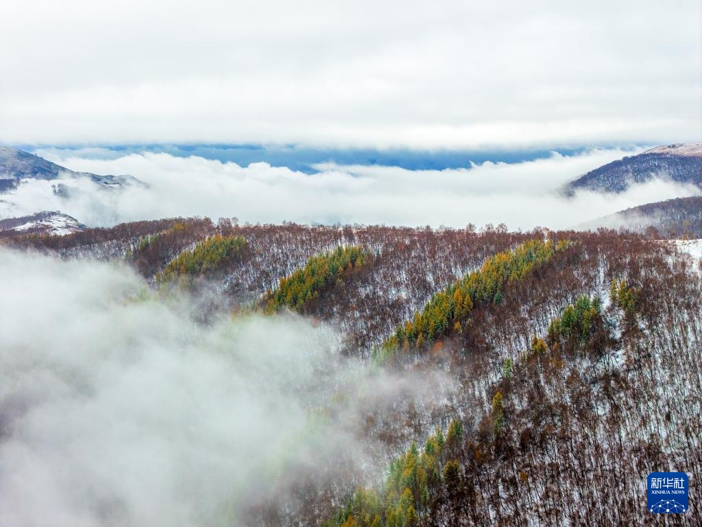 内蒙古克什克腾旗迎来降雪天气 内蒙古克什克腾旗迎来降雪天气