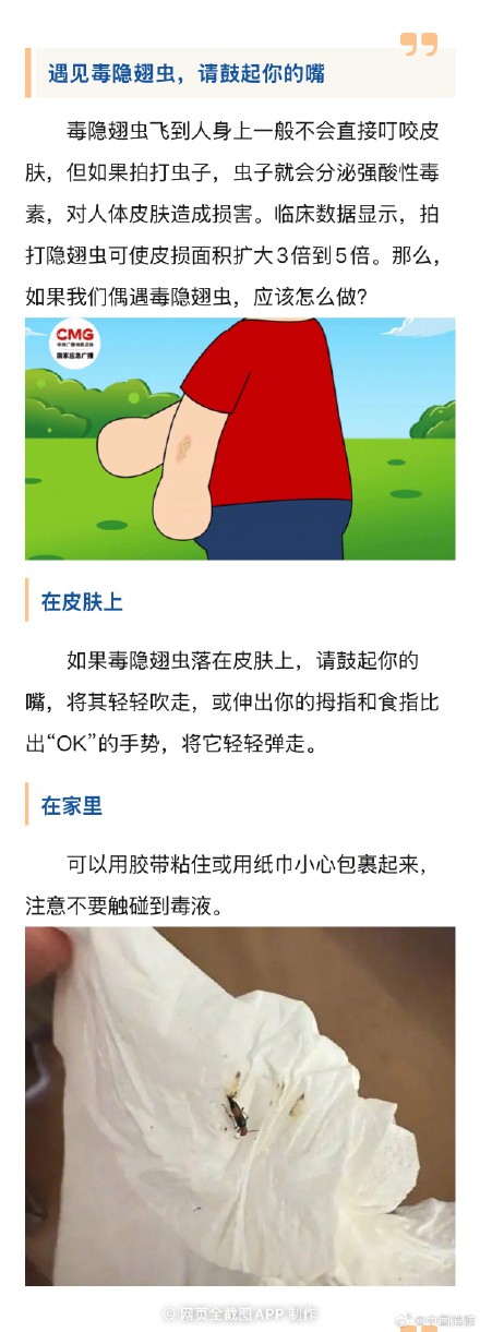 遇见隐翅虫请鼓起你的嘴