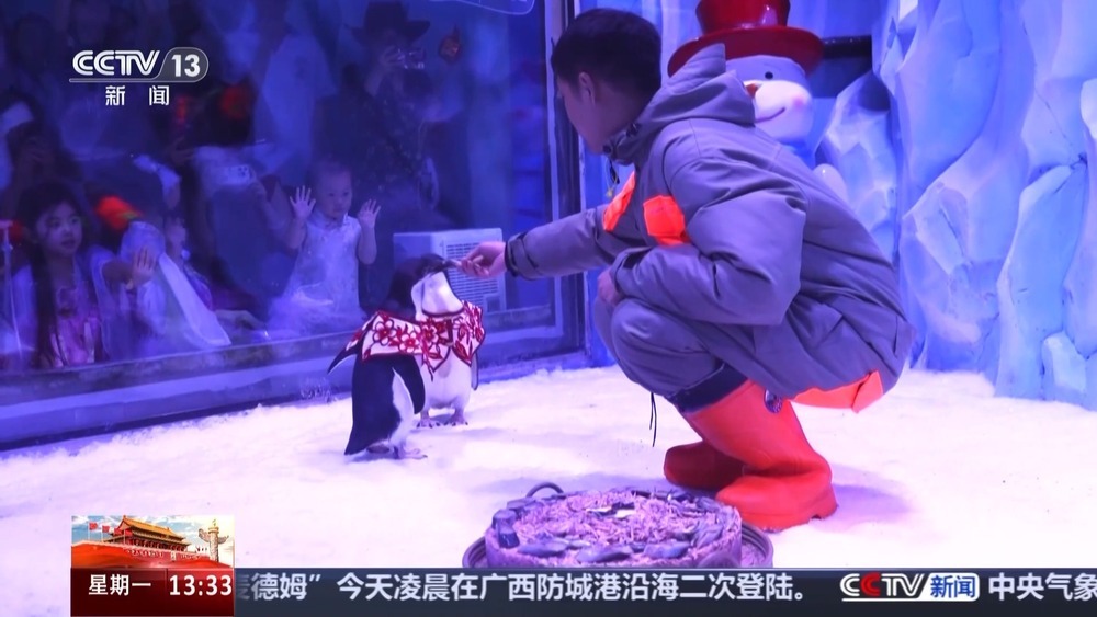 前方高萌！动物园中秋限定“吃播” 看看它们的月饼是什么馅