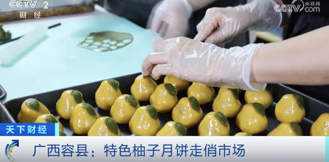 2025中秋“奇葩月饼大赏” 2025中秋“奇葩月饼大赏”