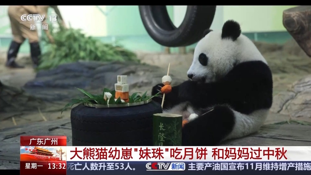 前方高萌！动物园中秋限定“吃播” 看看它们的月饼是什么馅