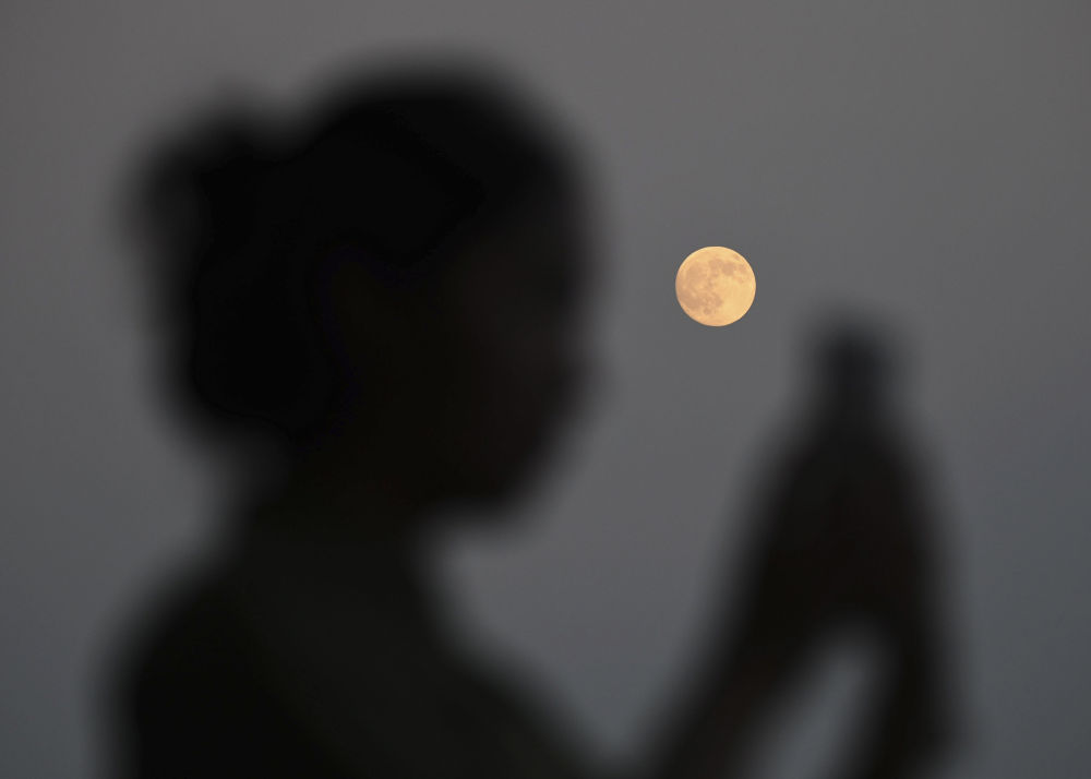 明月共此时 明月共此时