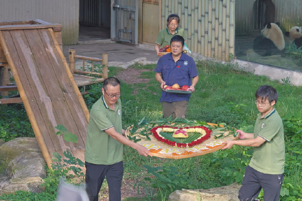 重庆动物园中秋限定上菜了！动物喜提专属“团圆餐”