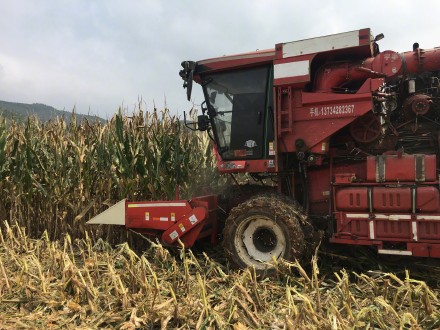 未来十天西北地区东部华北黄淮仍多降雨秋收受阻 抓住降雨间隙及时抢收