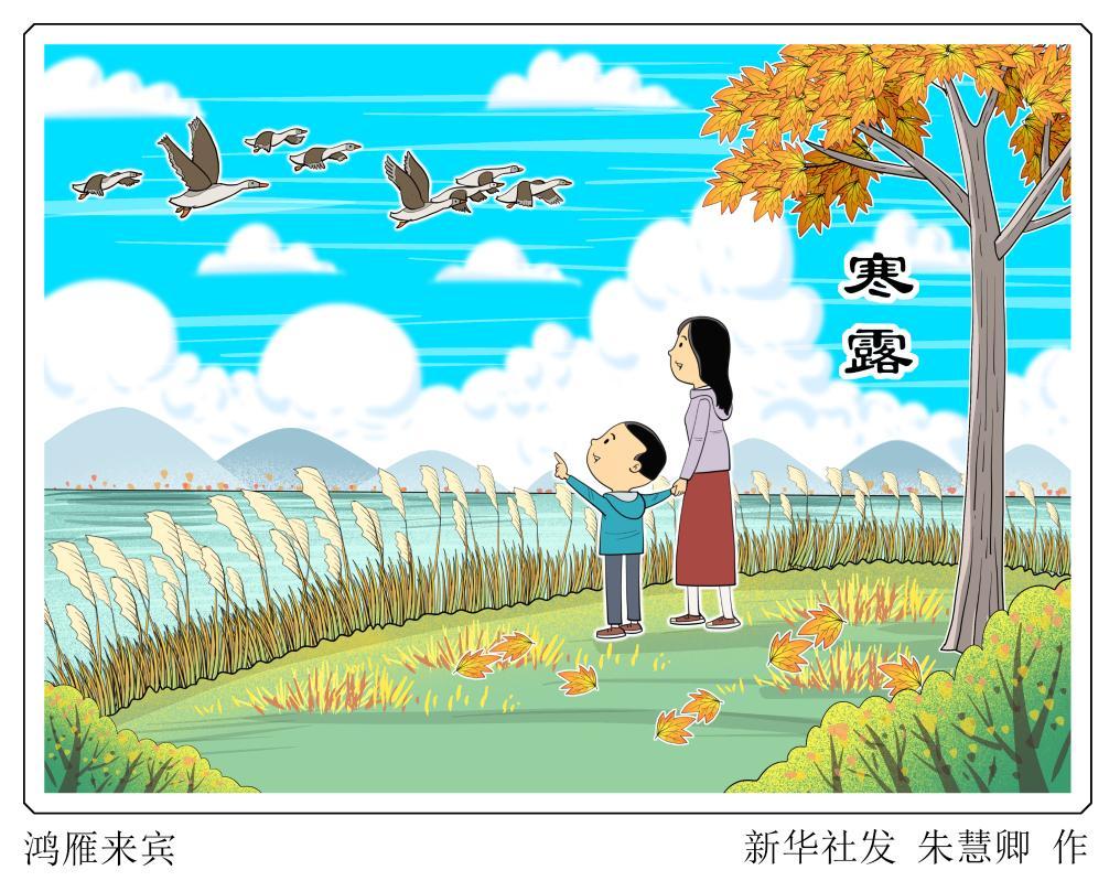 寒露时节养生重在防寒防燥
