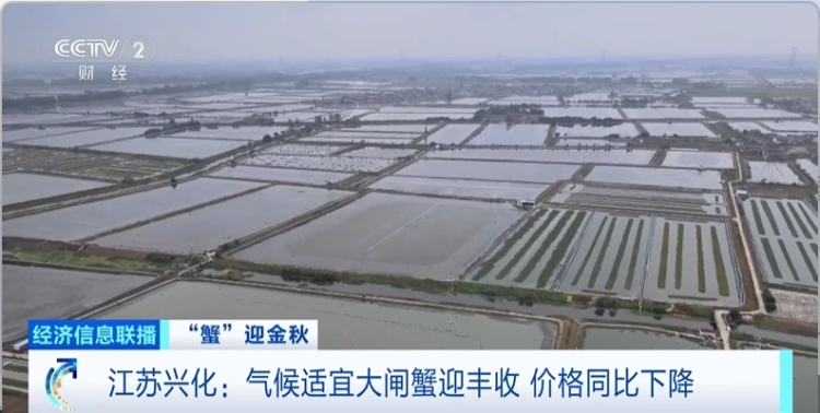 它，彻底爆单了！“狂卖10亿元”！