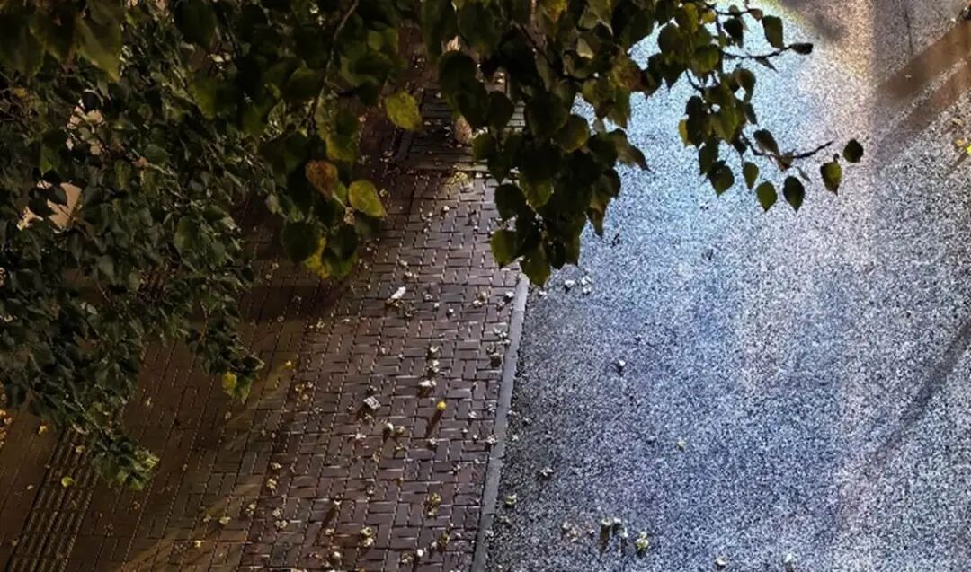 穿厚点！最低0°~4°C，有霜！辽宁明后天还有雨