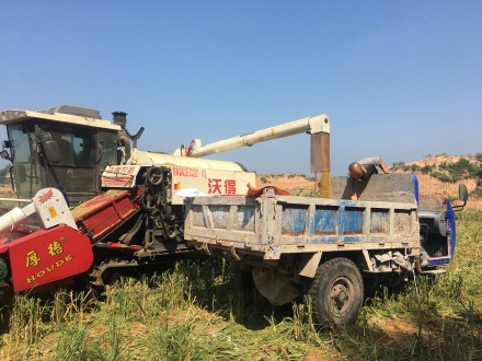 未来十天西北地区东部华北黄淮仍多降雨秋收受阻 抓住降雨间隙及时抢收