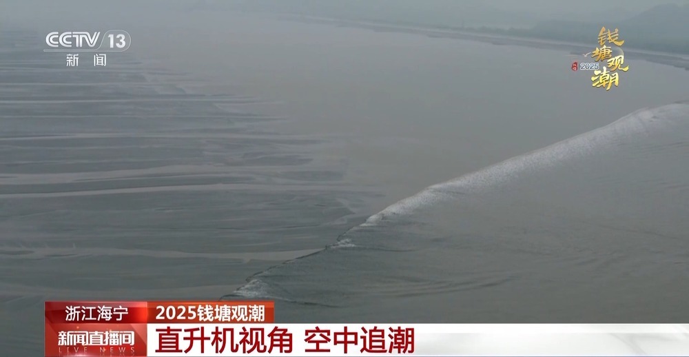 “潮汐树”“交叉潮” 跟着直升机一起空中追潮→