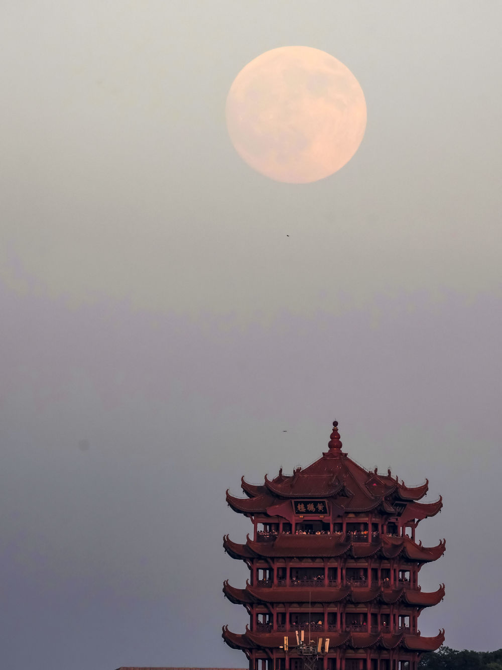 明月共此时 明月共此时