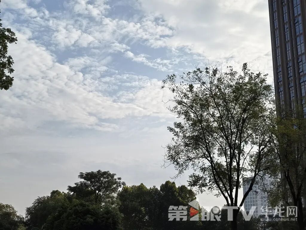 短袖先别收！重庆未来三天阳光仍是主调