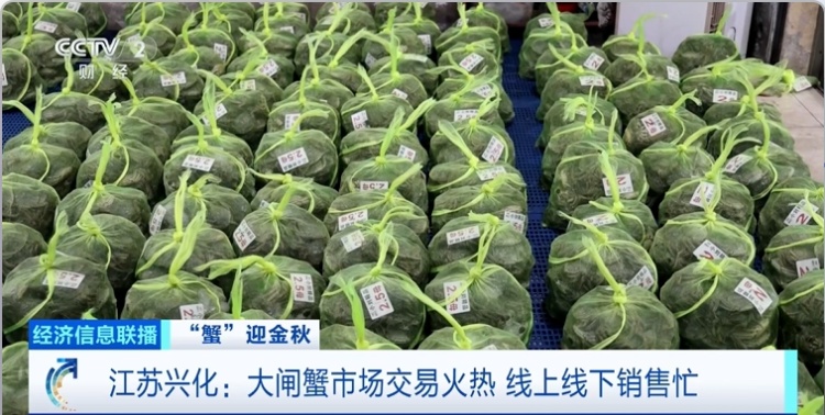 它，彻底爆单了！“狂卖10亿元”！